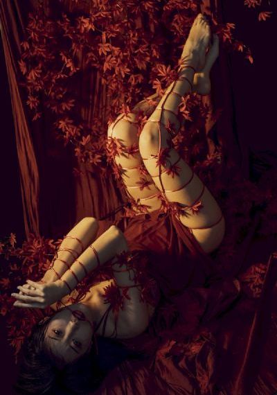 三妻四妾免费播放电视剧最新章节_电影网在线观看